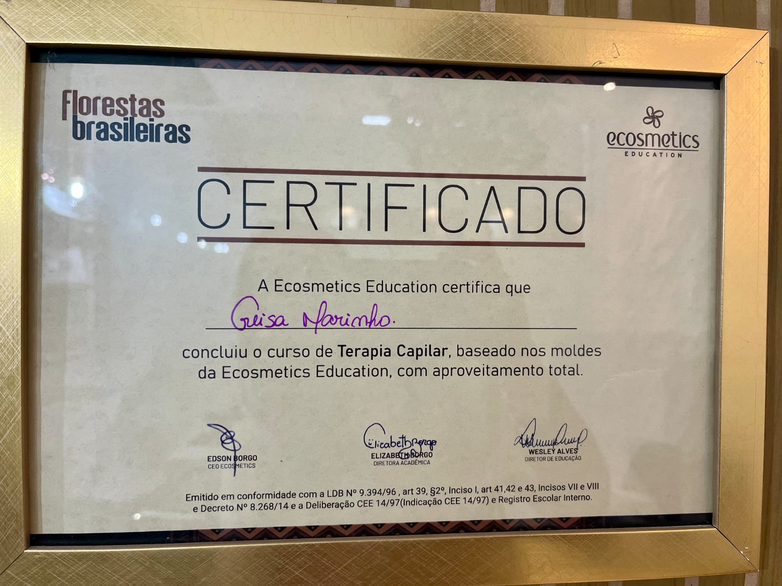 Certificado de Curso de Terapia Capilar da Ecosmetics Education