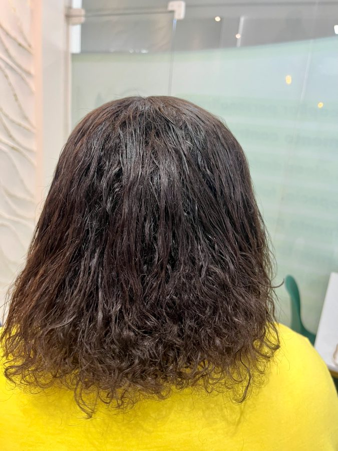 Cabelo ressecado, com frizz intenso e pontas duplas antes do protocolo